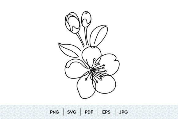 Cherry Blossom Line Art: Graphics & Illustrations Review