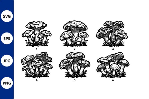 Mushroom Cluster Vector Illustration Graphics Review
