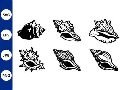 Seashell Vector Line Art Set for Crafts Review